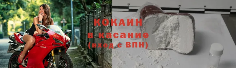 ссылка на мегу зеркало  Щёкино  COCAIN Fish Scale 